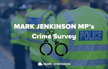 Crime Survey